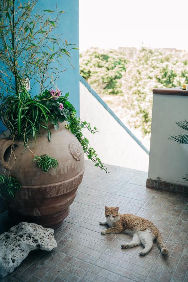 ポルトスクーゾ Juniper Bay Bed & Breakfast エクステリア 写真