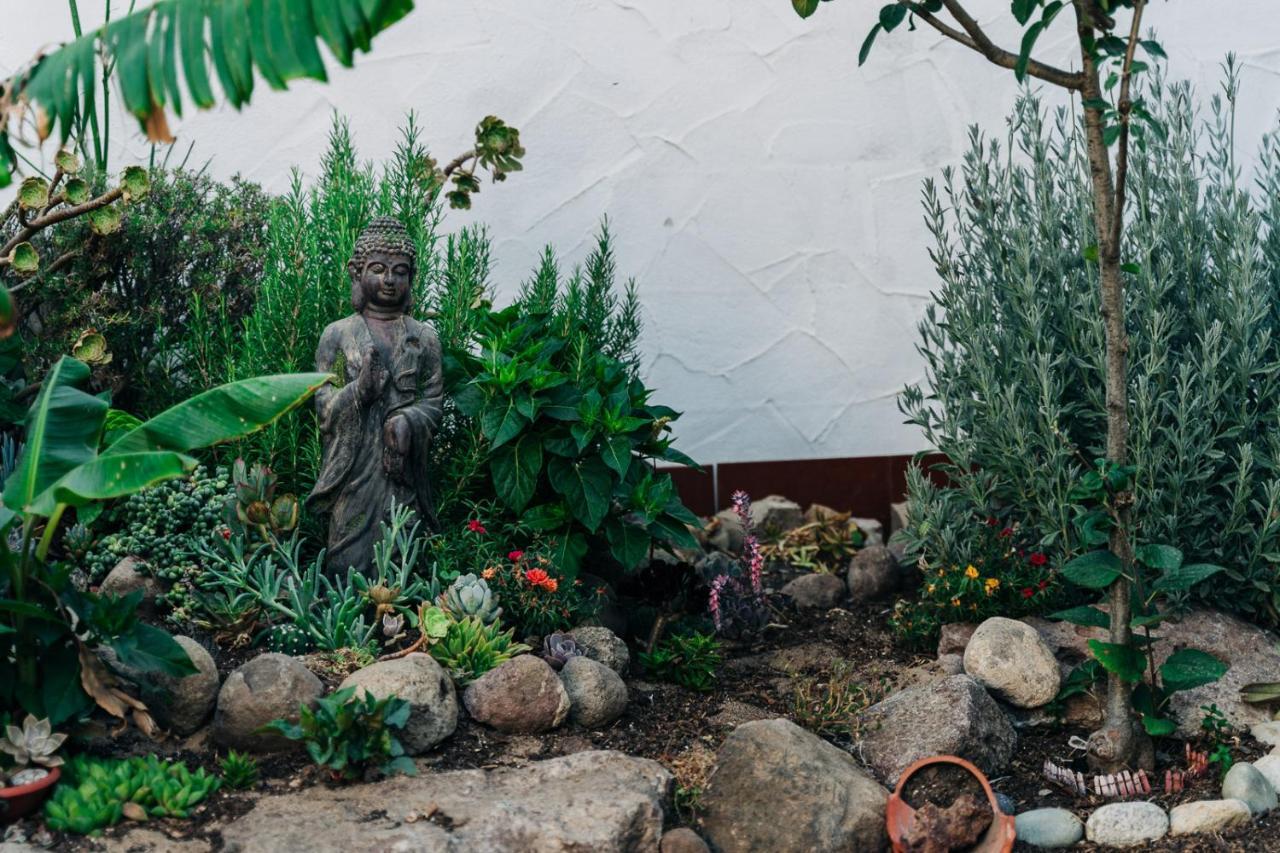 ポルトスクーゾ Juniper Bay Bed & Breakfast エクステリア 写真