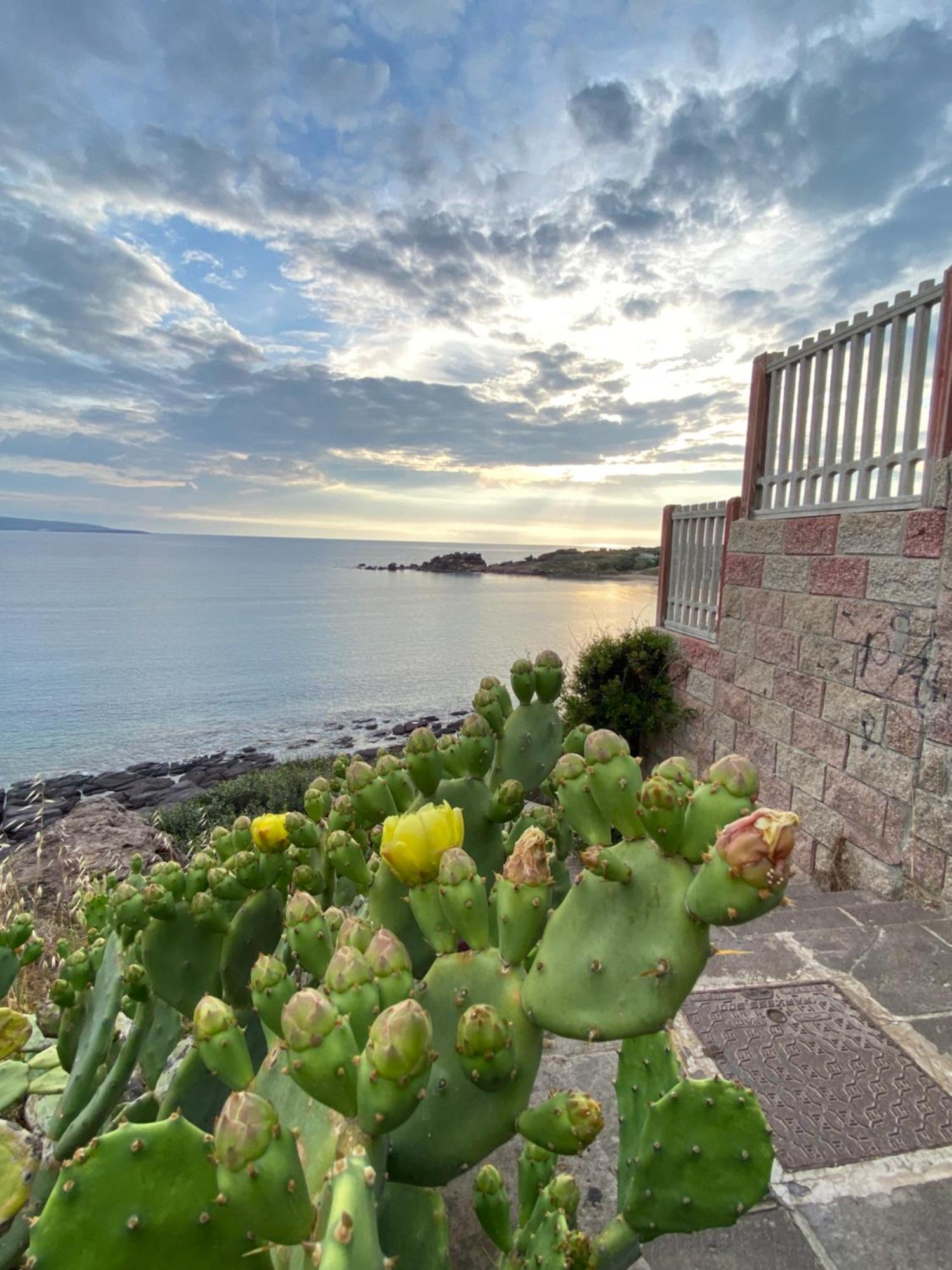 ポルトスクーゾ Juniper Bay Bed & Breakfast エクステリア 写真