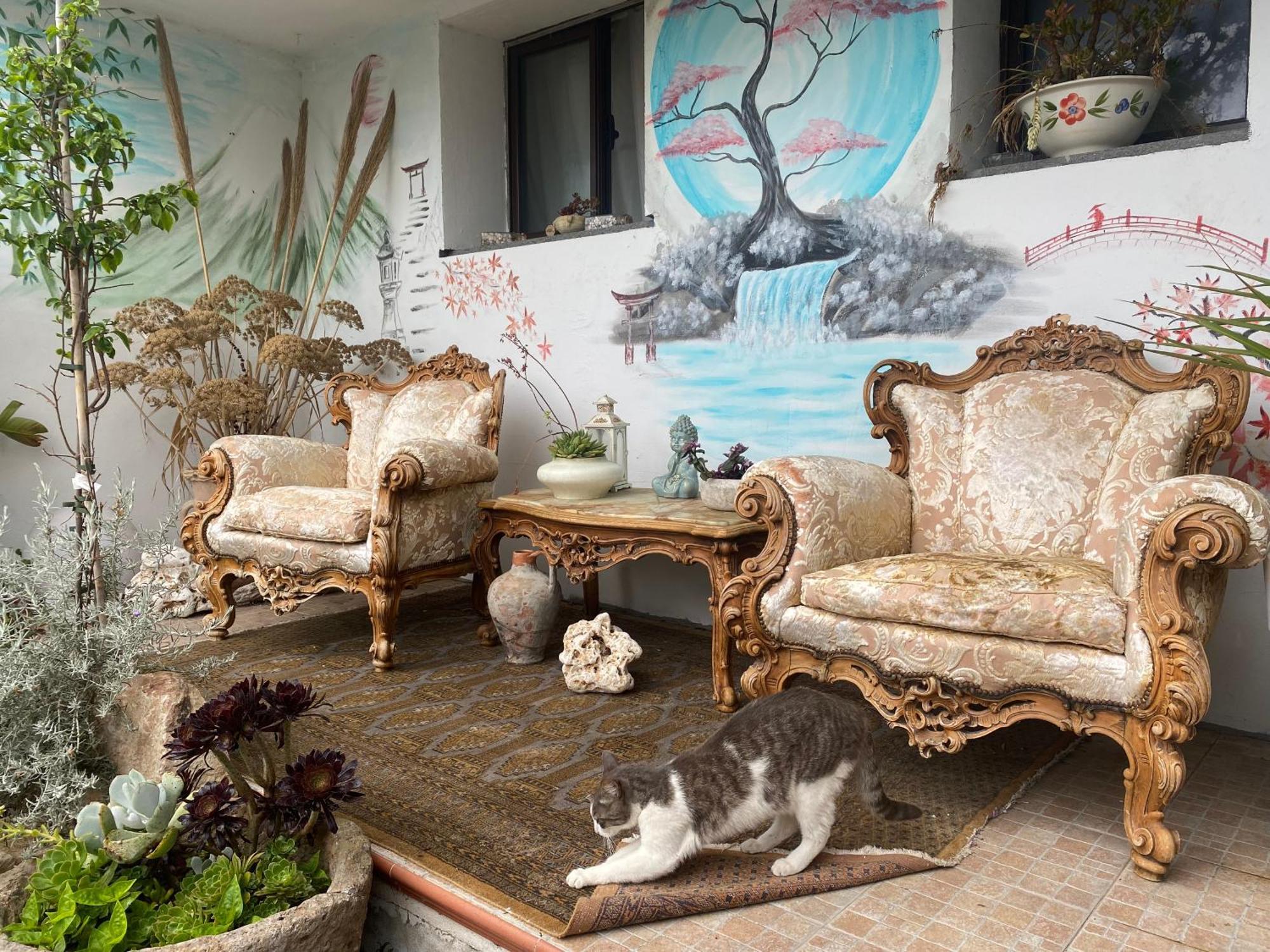 ポルトスクーゾ Juniper Bay Bed & Breakfast エクステリア 写真